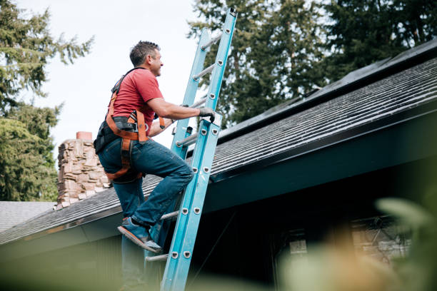 Best Roof Insulation Installation  in St Pauls, NC